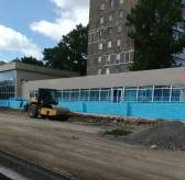 «Это бизнес»: в Темиртау вырубили многолетние деревья ради парковки