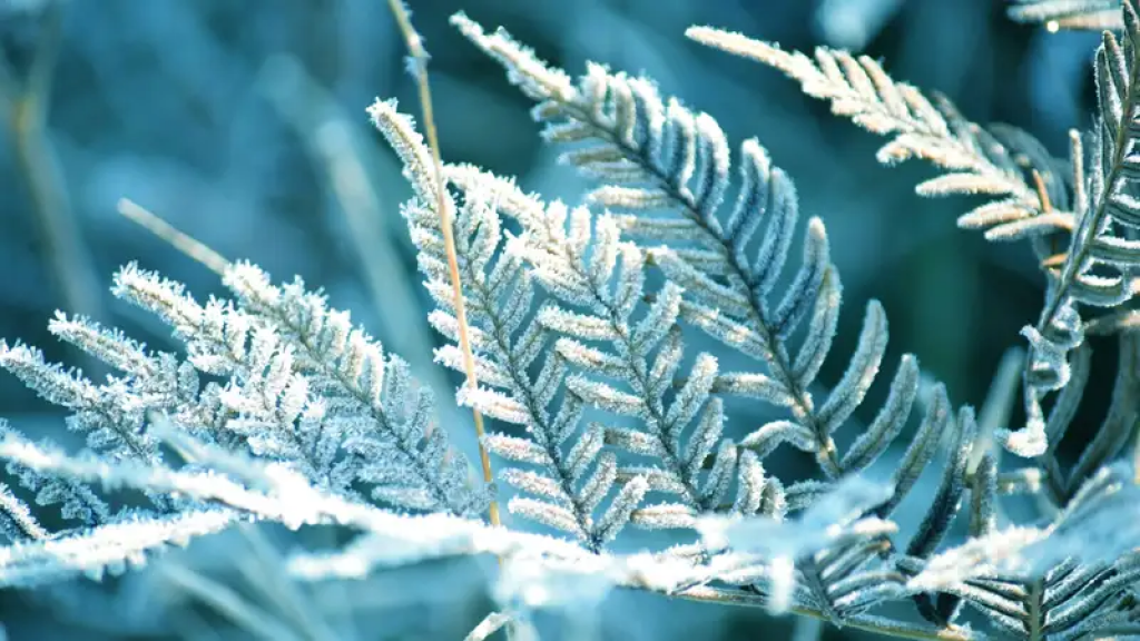 Дожди прекратятся, но ударят заморозки – погода от 