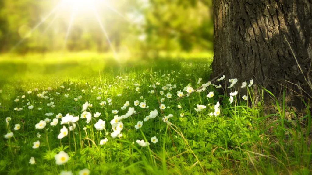 Жара накрыла Казахстан: МЧС просит не геройствовать и пить больше воды