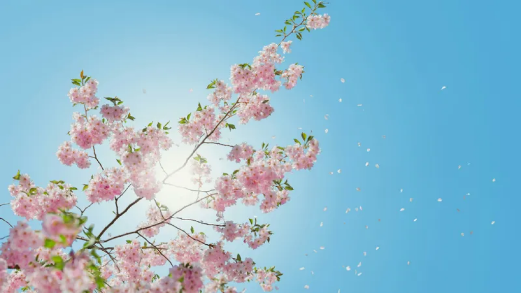 30-градусная жара нагрянет в Казахстан