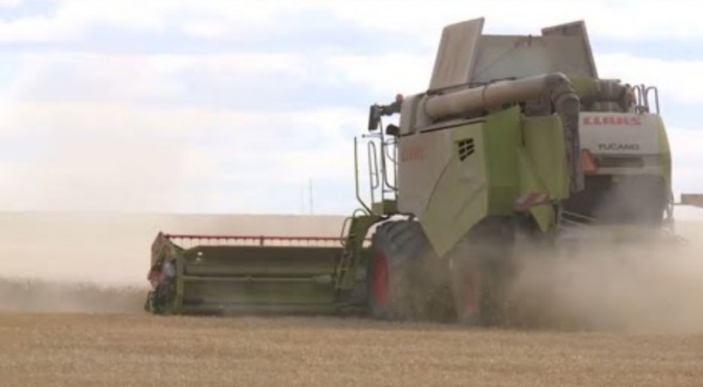 Жоспарланған егіннің 85% - ы Қарағанды облысында жиналды