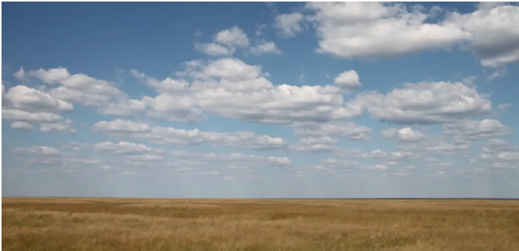 Сельхозучасток стоимостью 258 млн тенге вернули государству в Карагандинской области