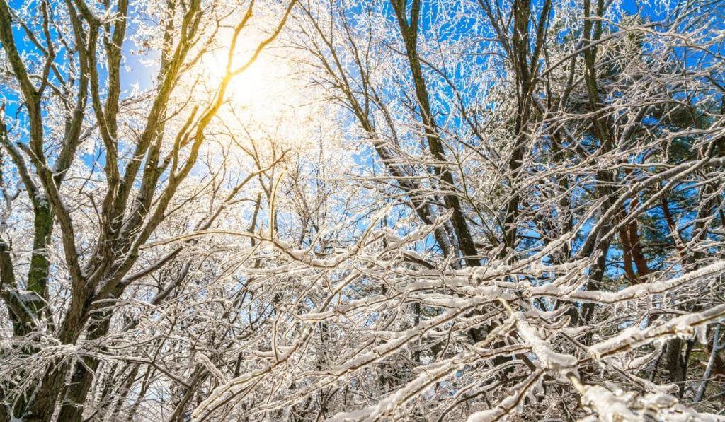 Понижение температуры воздуха в Казахстане прогнозируют синоптики