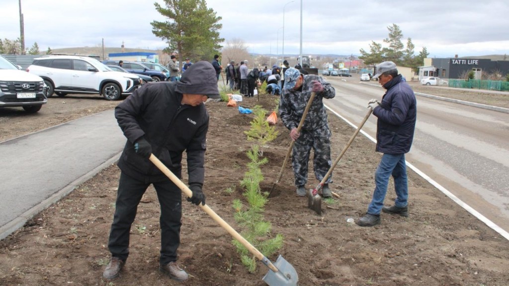 Қарқаралыда Тоқтар Әубәкіровтің 80 жылдығына орай 100 қарағай отырғызылды