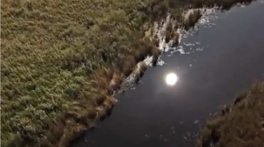 В реке обнаружены останки мужчины в Карагандинской области - полиция ищет родных