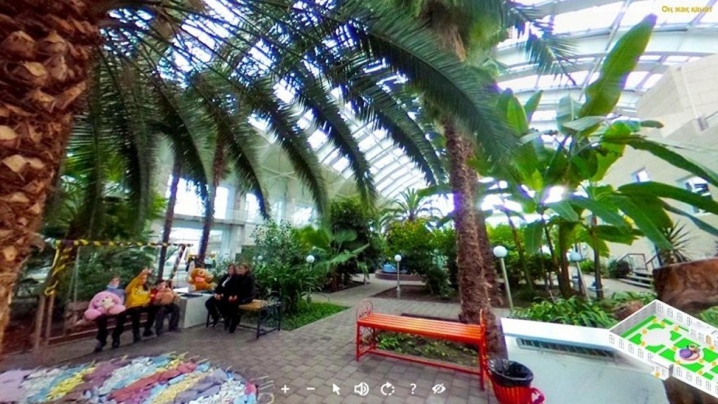 Виртуальная экскурсия в зимний сад: в Карагандинской области прошёл конкурс по информатике среди школьников