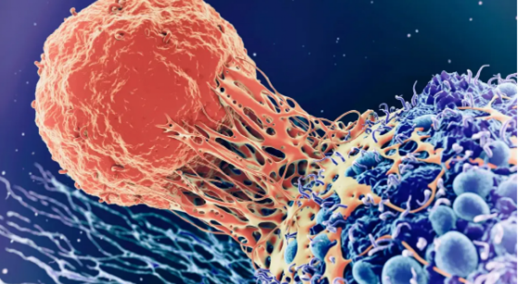 Казахстанский противораковый препарат пробно ввели 15 пациентам