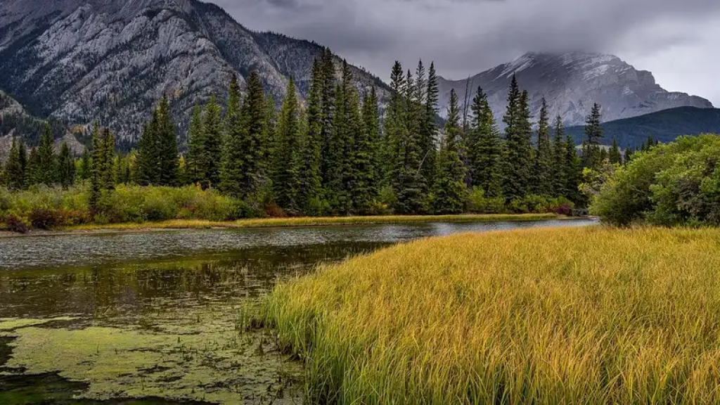 Токаев подписал правки в закон об охране заповедников и электроэнергетике