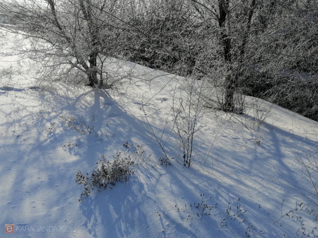 Зимний характер продолжается: прогноз погоды на 28 января в Караганде и области