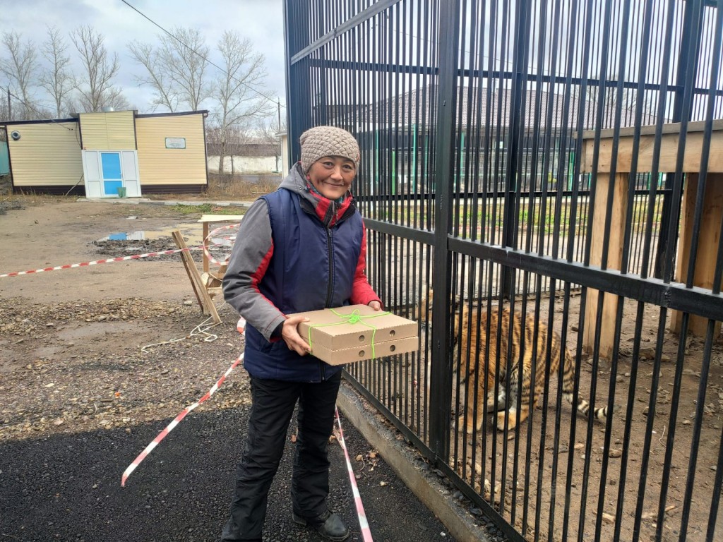 Интернетте тамаша орыс порносын көріңіз Порно ол еңкейіп, ол отырды