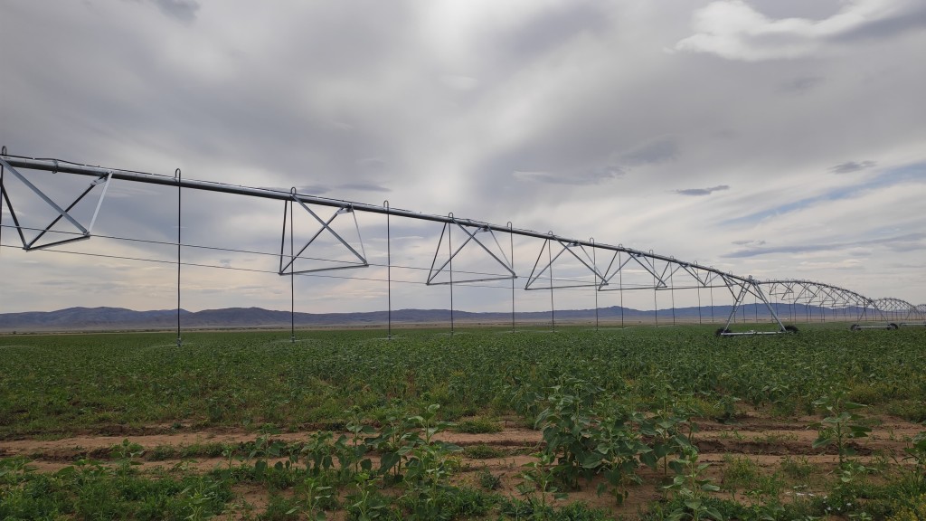 Инновационную систему орошения земель используют в Каркаралинском районе