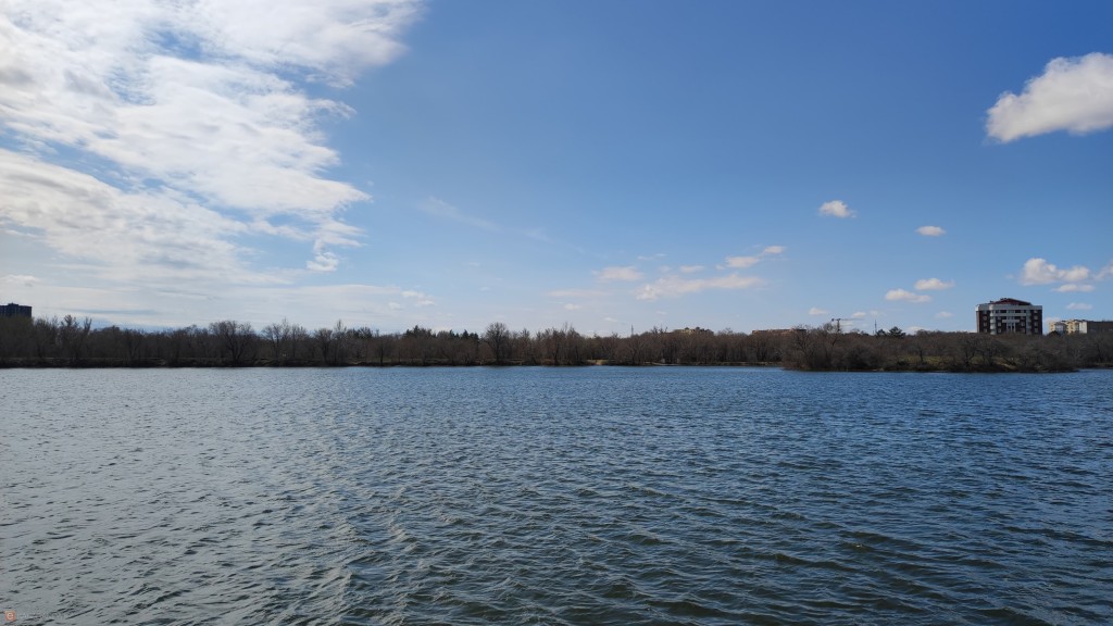 В Караганде поделились результатами первого этапа зарыбления озера Центрального парка