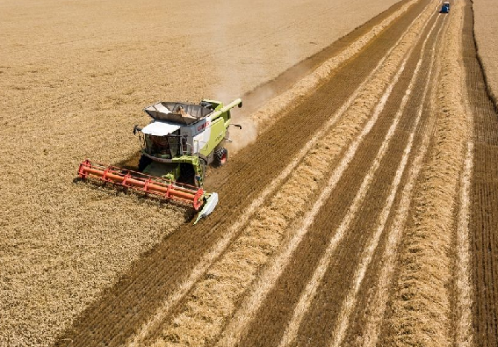 У двадцати фермеров Карагандинской области градом побило урожай