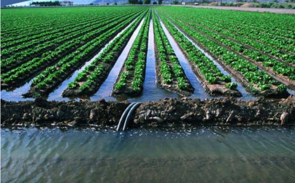 Казахстан тестирует электронные договоры на подачу поливной воды