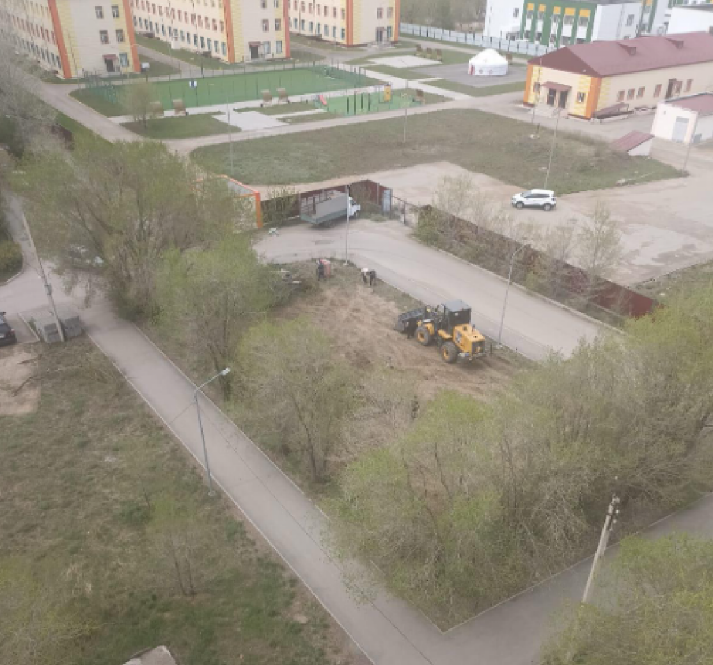 Вырубка одного дерева вызвала опасения горожан в Караганде