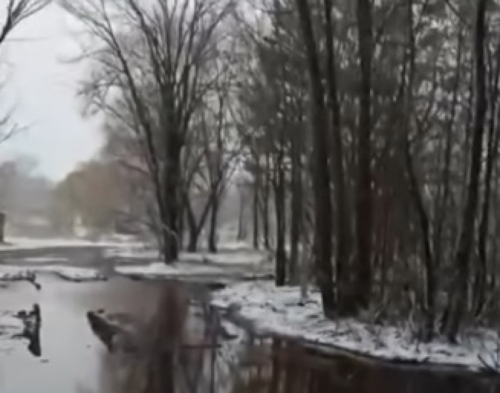 В Караганде ищут причину разлива воды в Центральном парке