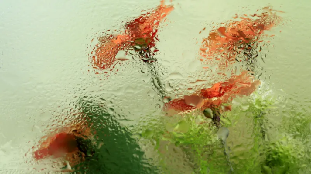 Дожди, заморозки и +38°С: резкие перепады погоды накроют Казахстан в ближайшие дни