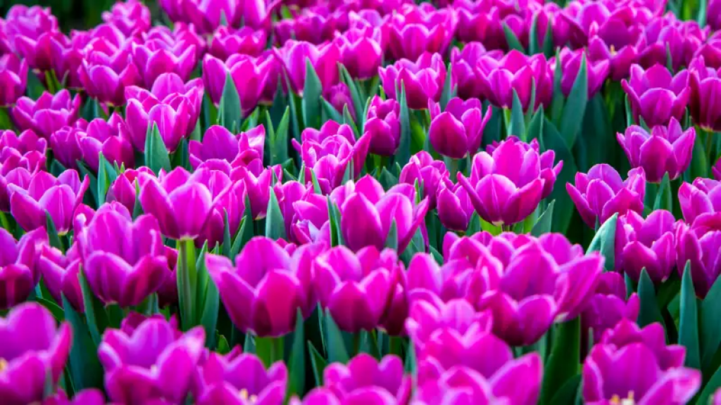 Как казахстанцы отдохнут в марте 2024 года