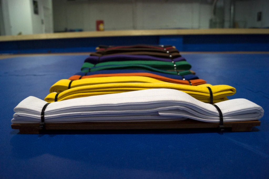 Казахстанцы не смогут принять участие в Азиатских играх по боевым искусствам