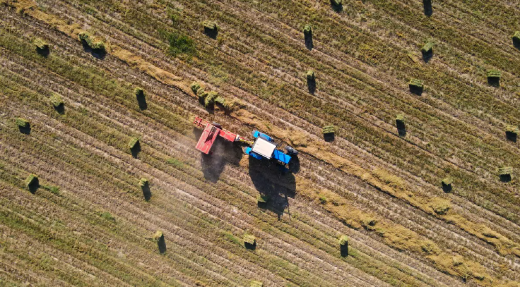 На 171 млрд тенге выдали льготные кредиты на весенне-полевые работы в Казахстане