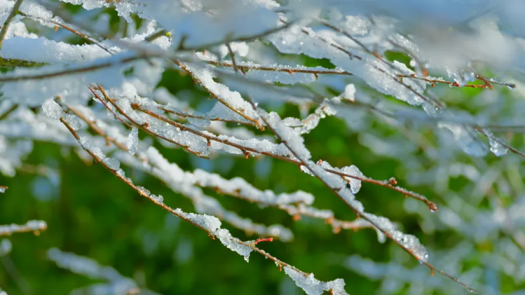 25-градусный мороз, дожди и снег возвращаются в Казахстан