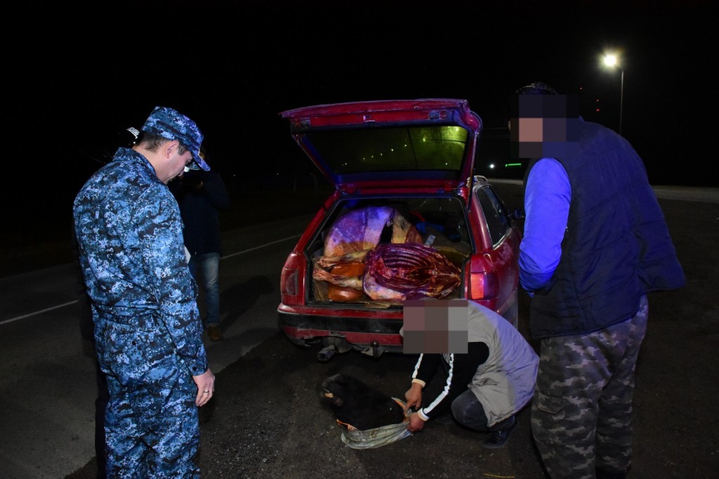 17 мобильных блокпостов по противодействию скотокрадству выставлено на дорогах Карагандинской области