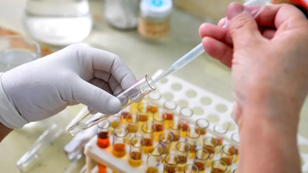 Ученые заявили о разработке лекарства от самой агрессивной формы рака мозга