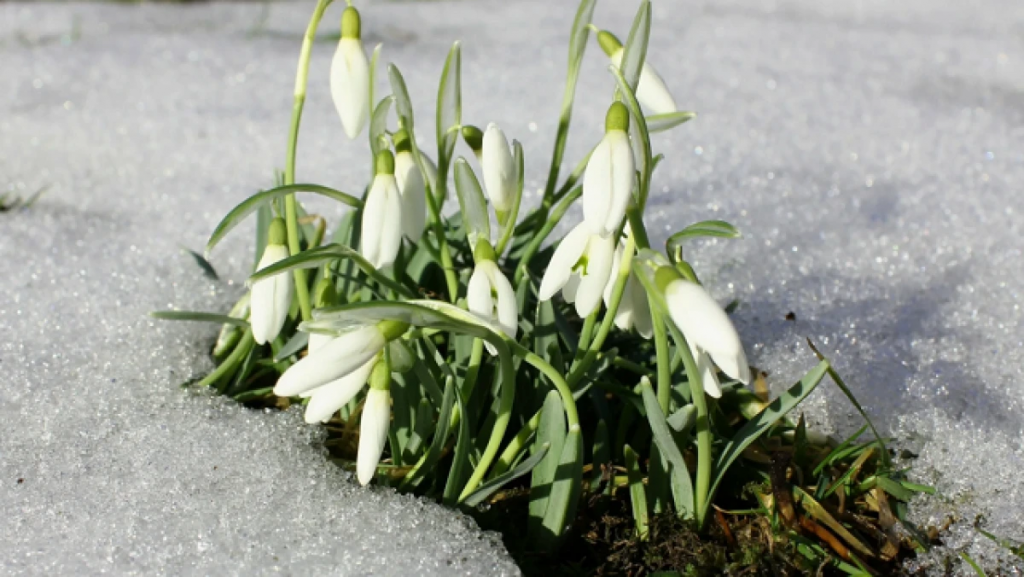 Весна опаздывает: синоптики рассказали о погоде в Казахстане