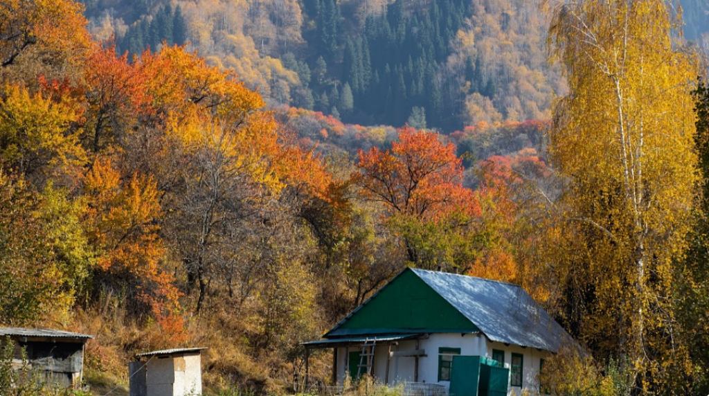 Қазақстанда фермерлердің Ұлттық санағының күндері жарияланды