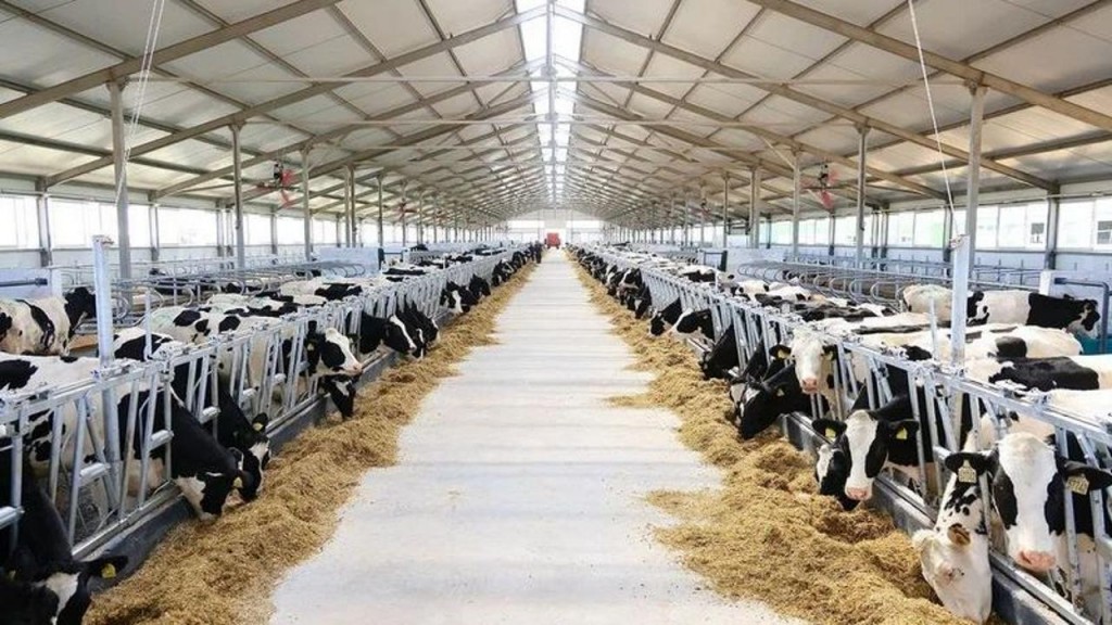 В Карагандинской области открыли современную молочно-товарную ферму