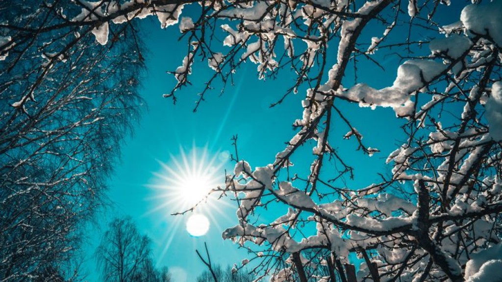 Потепление до +10°С, осадки и туман ожидаются в Казахстане