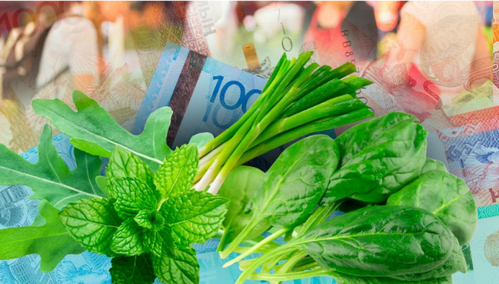 Зелёная смесь: сколько стоят руккола, шпинат, мята и зелёный лук в регионах Казахстана