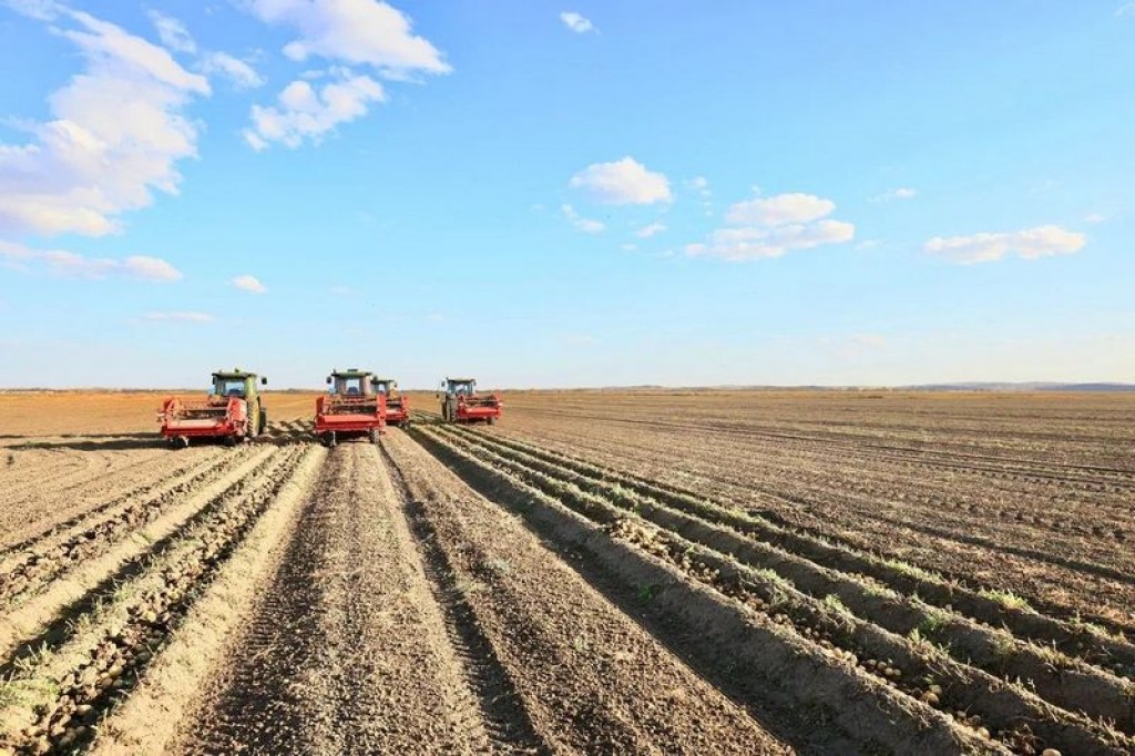 Олжас Бектенов поручил обеспечить качество будущего урожая