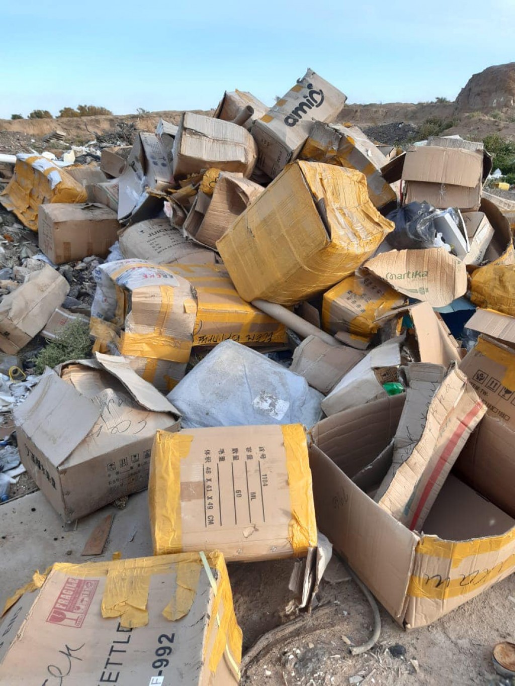 В Балхаше нашли нарушителя, вывалившего гору картона на окраине города