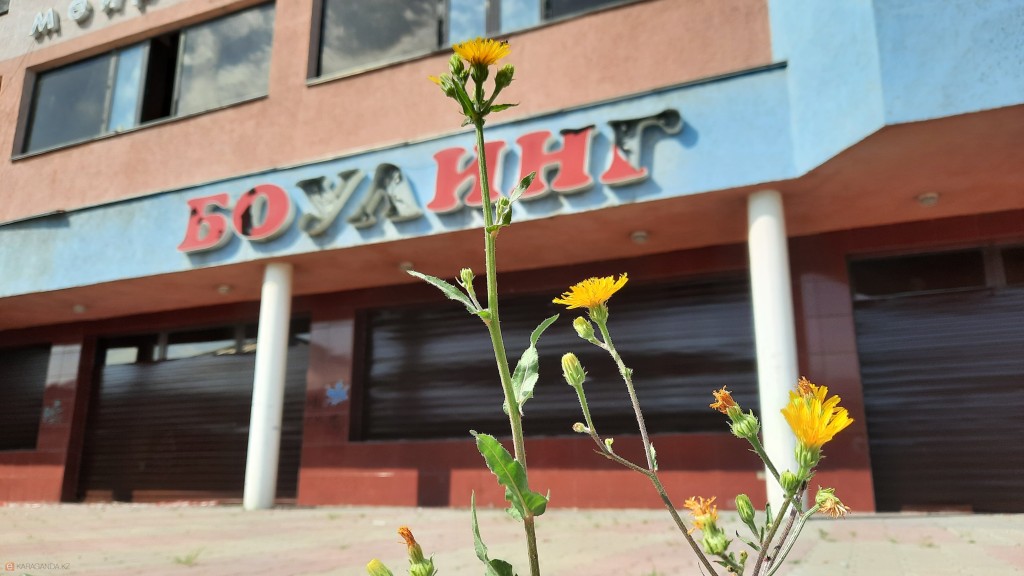 Заброшки в центре города. Власти усилят пешие патрули рядом с бывшими зданиями боулинга, клуба Fabrick и ресторана «Феруза»