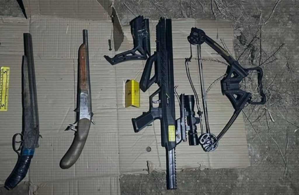 МВД: Изъято более 1000 единиц огнестрельного и травматического оружия