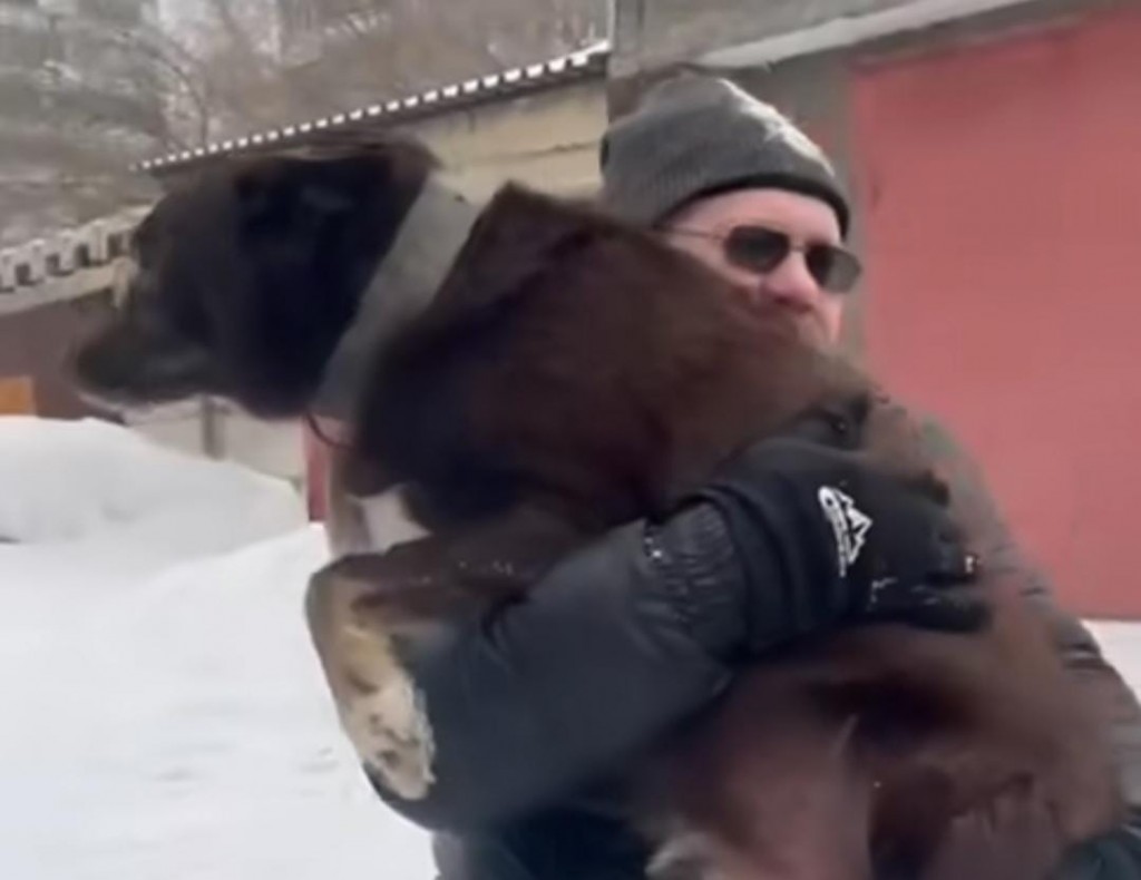 В Темиртау спасатели вытащили собаку, просидевшую в колодце пять дней