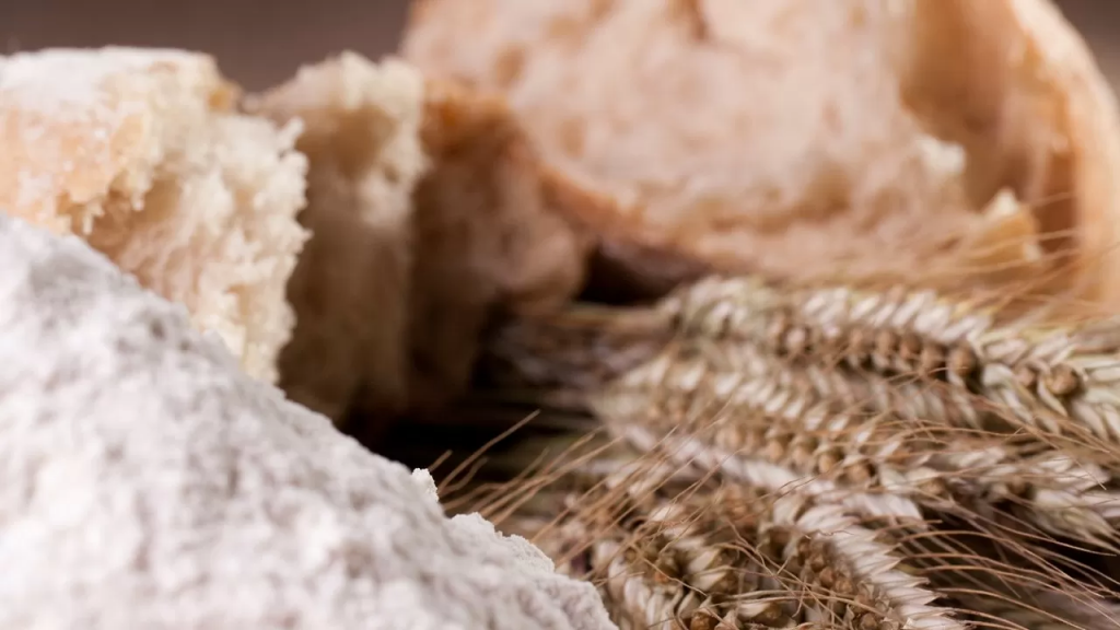 Нан шайқасы: жаңа субсидиялар астық пен ұн тартқыштардың маңдайына соқтығысады