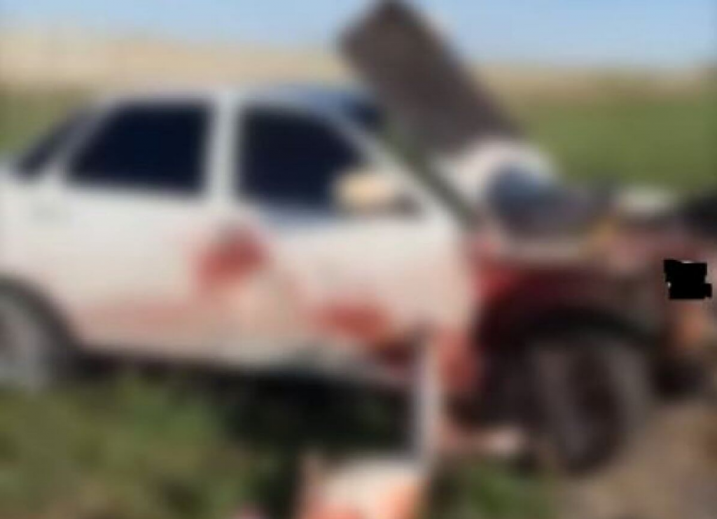 Стадо сайгаков сбила машина на трассе Астана – Караганда