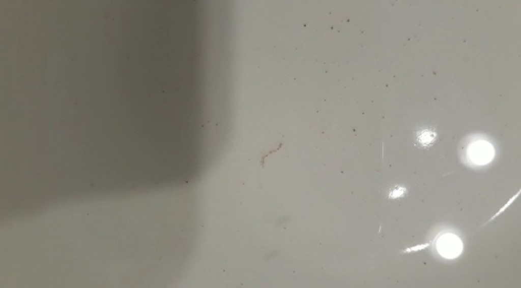 Жители одной из улиц Караганды обнаружили в питьевой воде червей