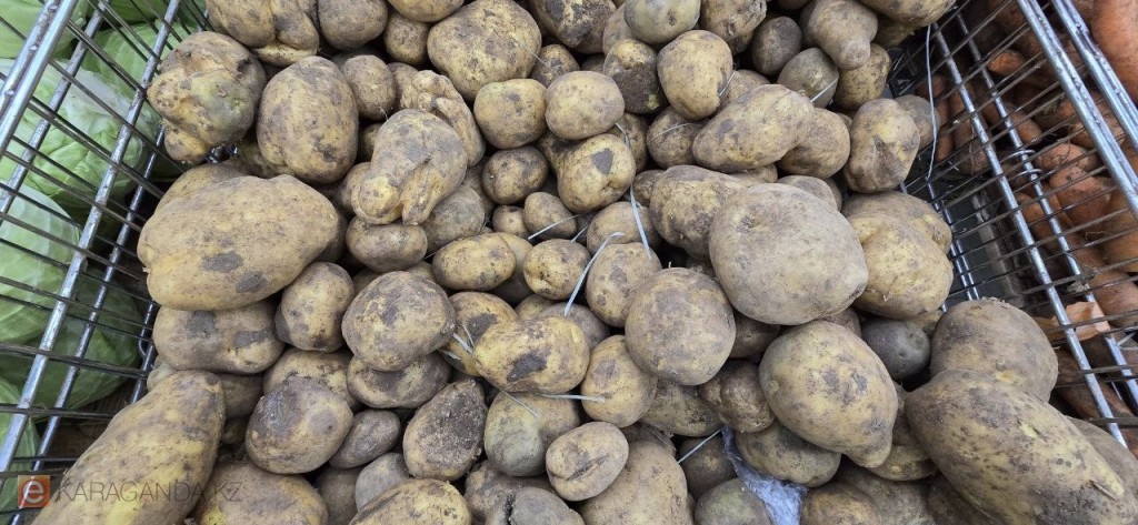 Фермеры Казахстана назвали справедливую цену на картофель