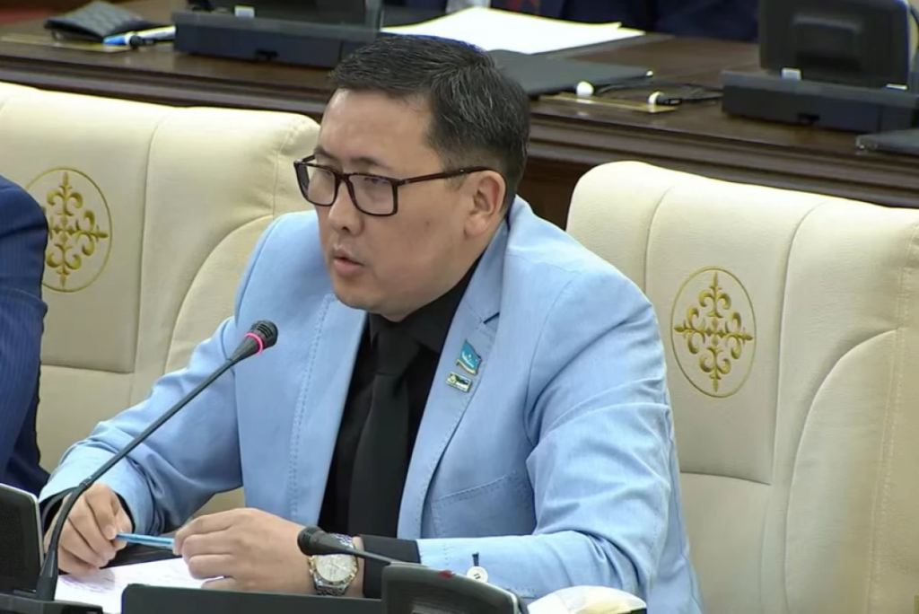 «Где наши мозги?» — депутат раскритиковал слепое использование ИИ