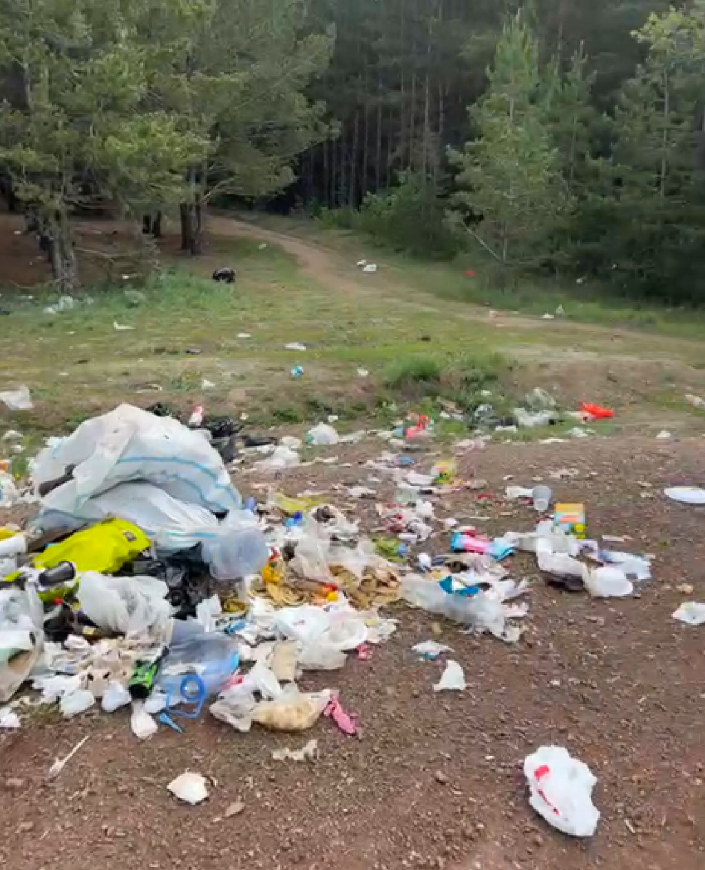 В Караганде лесопосадку очистили от мусора после майских праздников