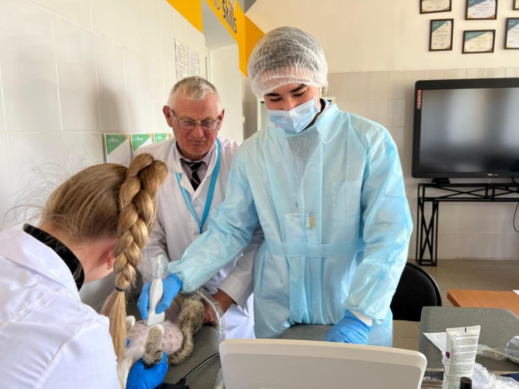 Как практика помогает в учёбе: итоги чемпионата AgroSkills-2024 подвели в Карагандинской области