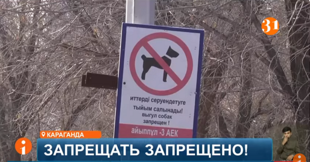 Владельцы собак из Караганды пожаловались на неправомерные штрафы