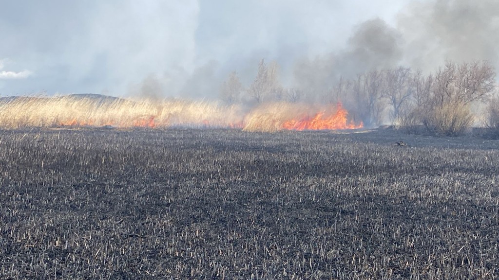 Три гектара сухой травы горели в Темиртау