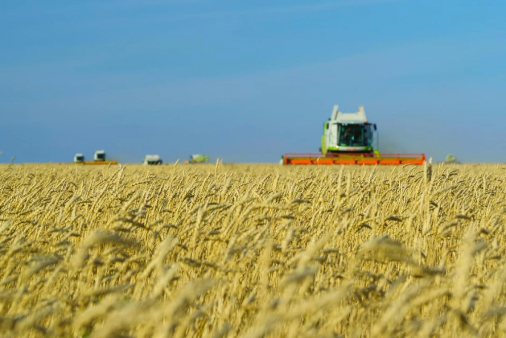 Почему зерновой Казахстан импортирует мучные продукты