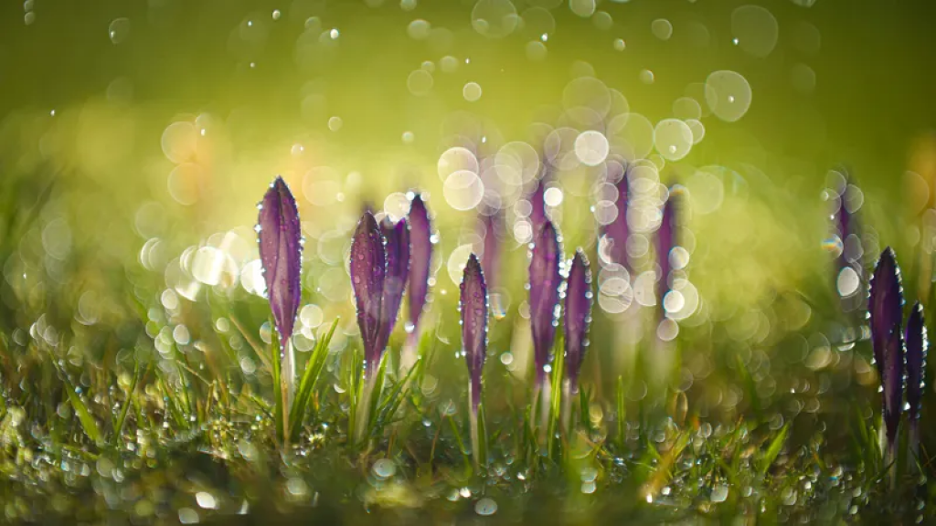 Жара до +25°C, дожди и снег нагрянут в Казахстан: прогноз погоды на конец марта