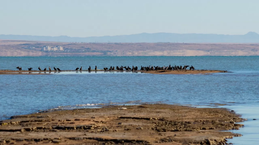 Казахстан останется без моря?