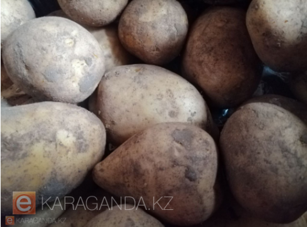 Потребление лука и картофеля вырастет в Казахстане